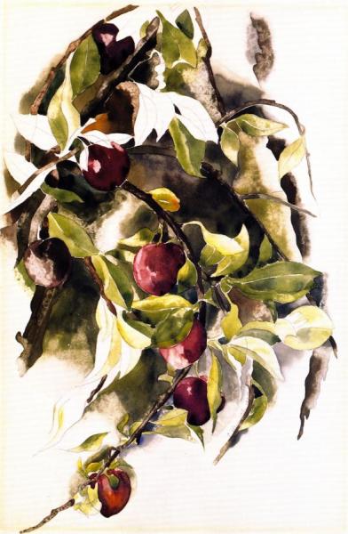 Plums by Charles Demuth