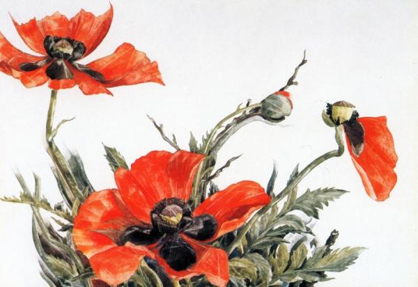 Red Poppies by Charles Demuth
