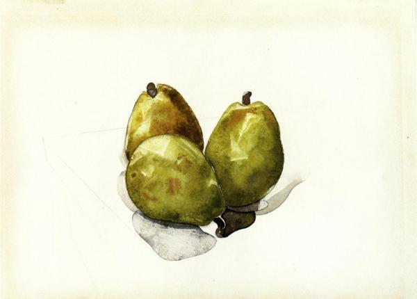 Three Pears by Charles Demuth