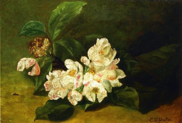 Apple Blossoms On A Ledge by Charles Ethan Porter