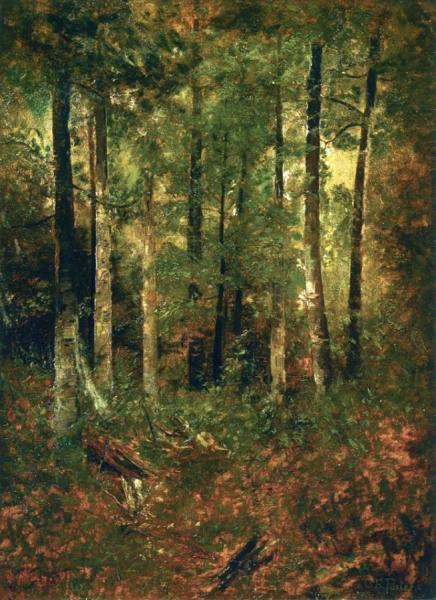 Forest Scene by Charles Ethan Porter