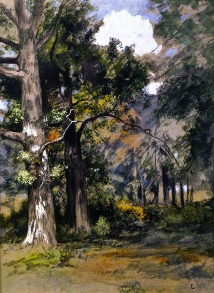 Interior Of Woods, N. Queens by Charles Henry Miller