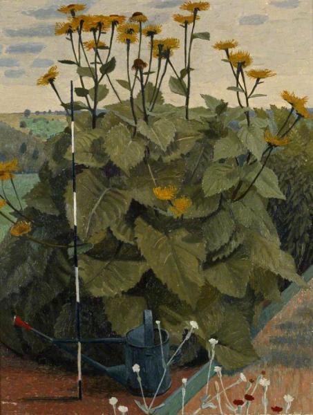 Yellow Ox-eye Daisies by Charles Mahoney