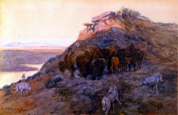 Buffalo Herd At Bay by Charles Marion Russell Oil Painting Reproductions