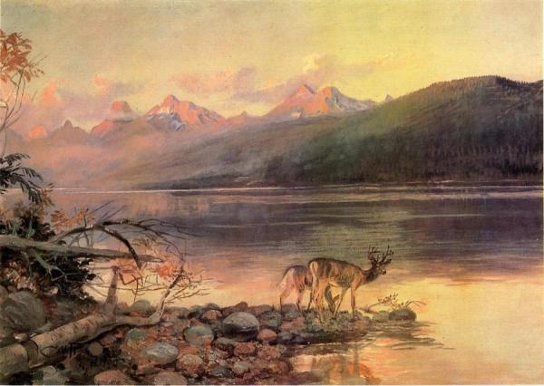 Deer At Lake Mcdonald by Charles Marion Russell