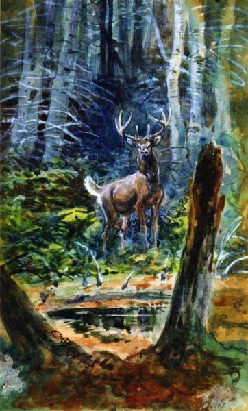 Deer In The Dell by Charles Marion Russell