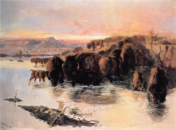The Buffalo Herd by Charles Marion Russell Oil Painting Reproductions