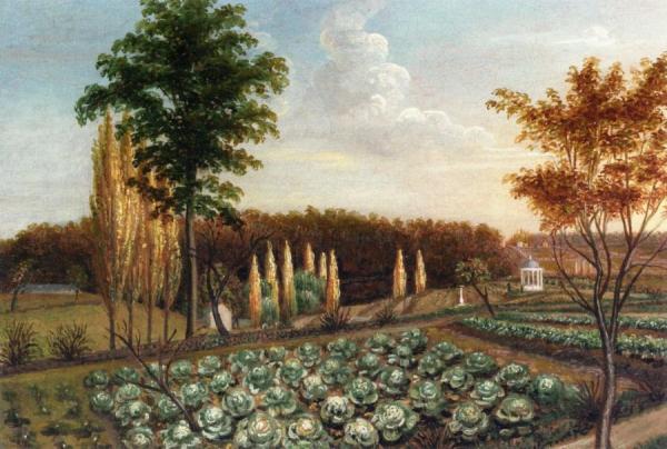 Cabbage Patch, The Gardens Of Belfield, Pennsylvania by Charles Willson Peale