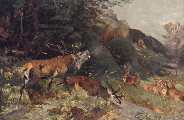 Deer Fight by Christian Johann Kroner