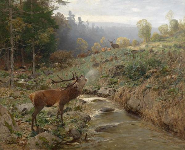 Herd Of Red Deer In A Forest Clearing by Christian Johann Kroner