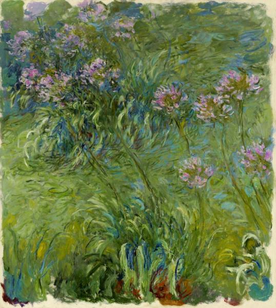 Agapanthus, 1914-26 by Claude Monet