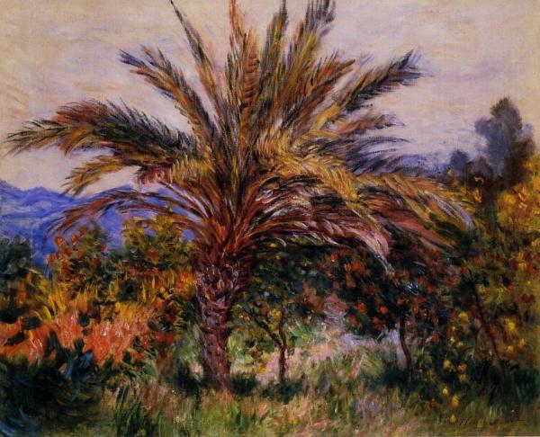 A Palm Tree At Bordighera by Claude Monet Oil Painting Reproductions