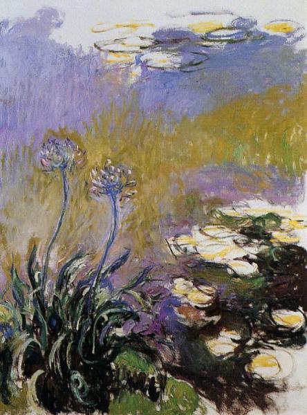 Agapanthus by Claude Monet