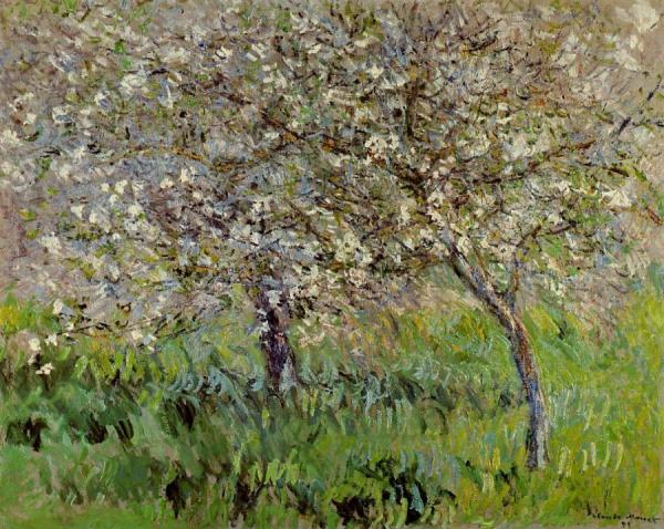 Apple Trees In Bloom At Giverny by Claude Monet