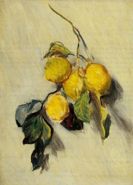 Branch Of Lemons by Claude Monet