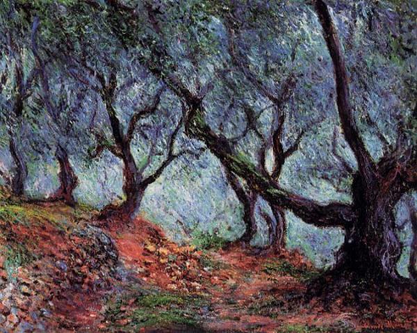 Grove Of Olive Trees In Bordighera by Claude Monet