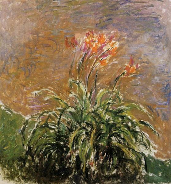 Hamerocallis by Claude Monet