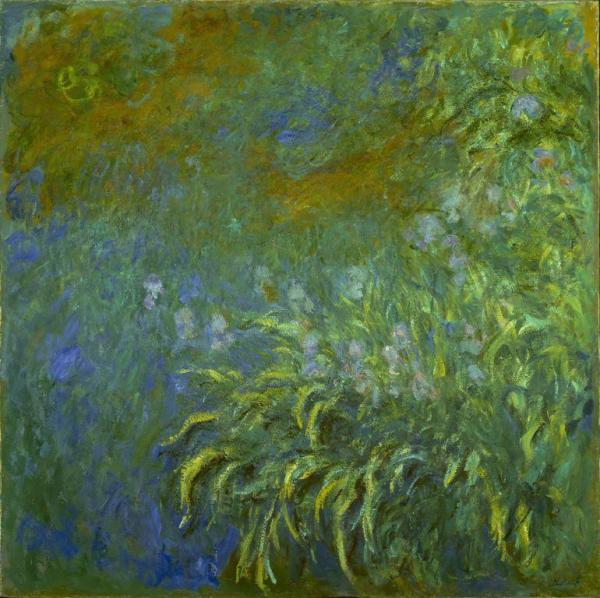 Iris by Claude Monet