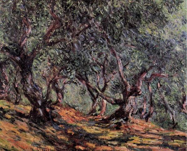 Olive Trees In Bordighera by Claude Monet