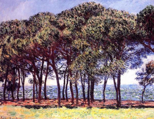 Pine Trees, Cap D'antibes by Claude Monet