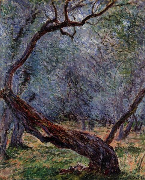 Study Of Olive Trees by Claude Monet