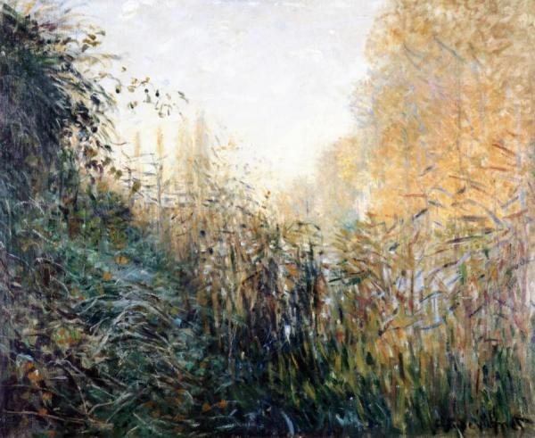 Study Of Rushes by Claude Monet