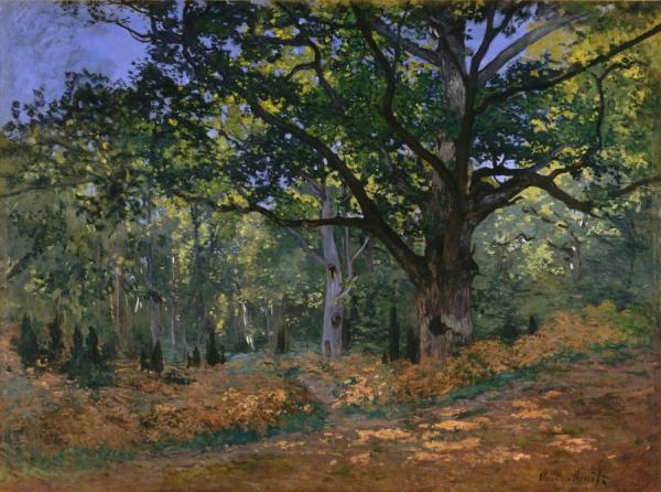 The Bodmer Oak, Fontainebleau by Claude Monet