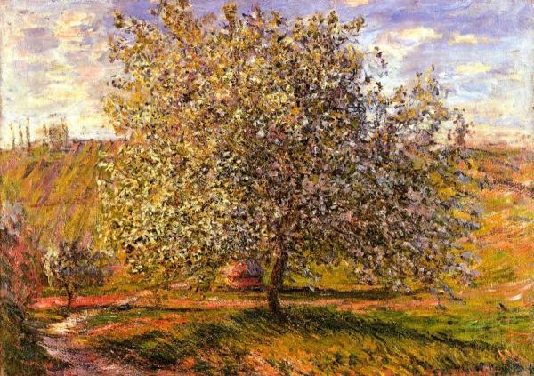 Tree In Flower Near Vetheuil by Claude Monet