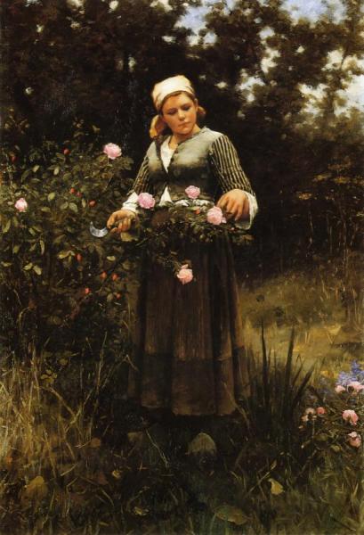 Gathering Roses by Daniel Ridgway Knight