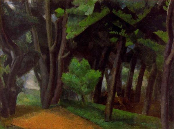 The Wet Forest by Daniel Vazquez Diaz