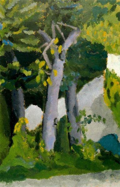 Trees In Fuenterrabía by Daniel Vazquez Diaz