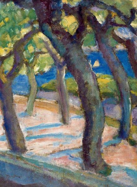 Daniel Vazquez Diaz Trees In Fuenterrabía