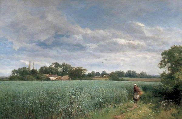 A Bean Field At Pickersleigh, Near Malvern, Worcestershire by David Bates Oil Painting Reproductions