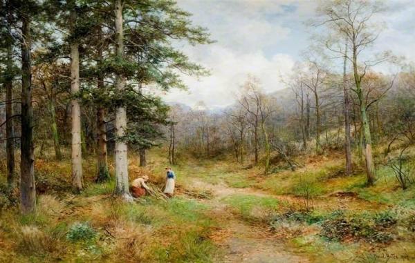 On The Long Mynd, Church Stretton by David Bates
