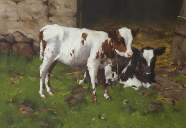 Repose by David Gauld