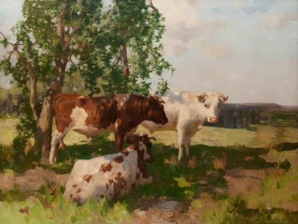 Sunshine And Shadow by David Gauld