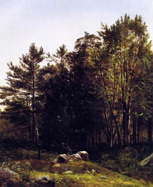 A Study Near Tamworth, New Hampshire by David Johnson Oil Painting Reproductions