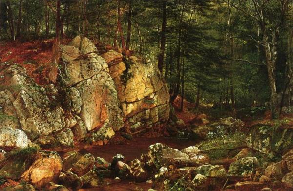 Brook Study At Warwick by David Johnson