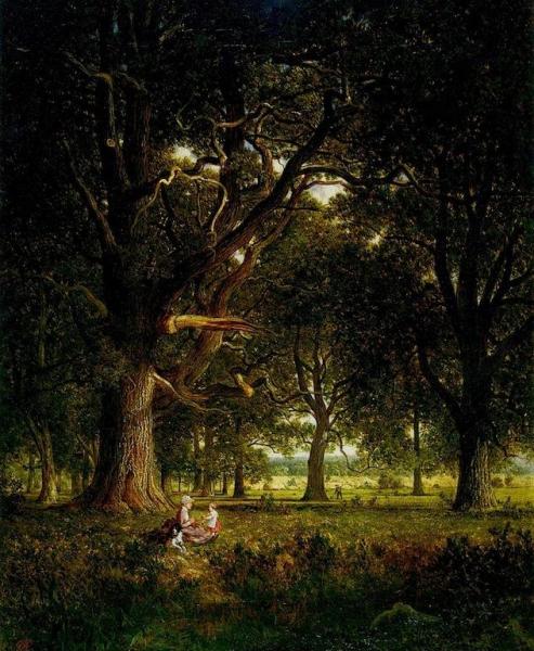 In The Forest by David Johnson