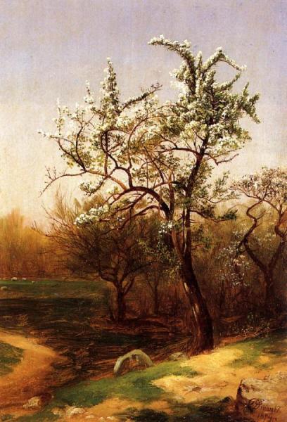 Pear Blossoms by David Johnson