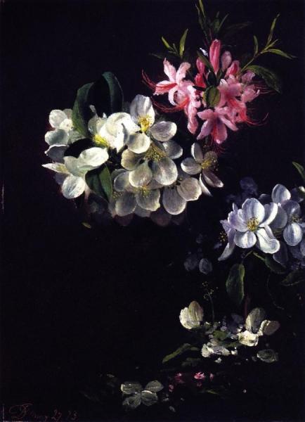 Sketch Of Apple Blossoms With May Flowers by David Johnson
