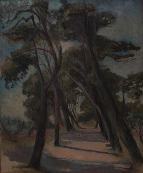 Avenue At St Remy by David Rolt