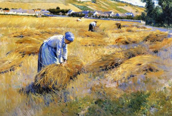 Dawson Dawson-watson Harest Time