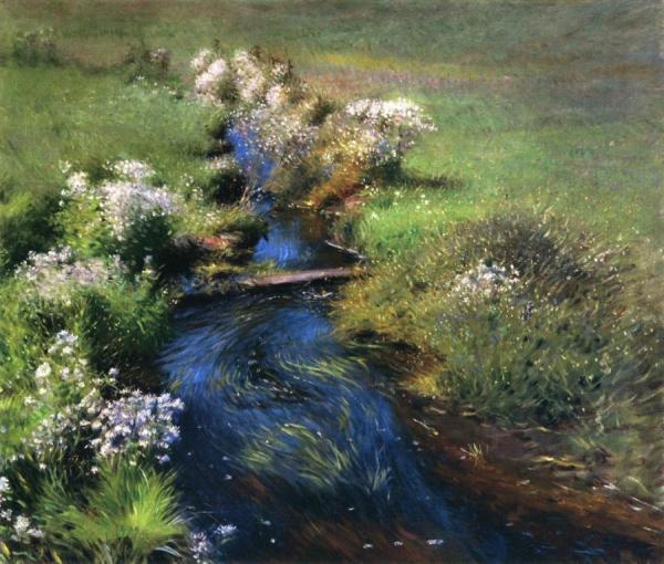 Wild Asters by Dennis Miller Bunker