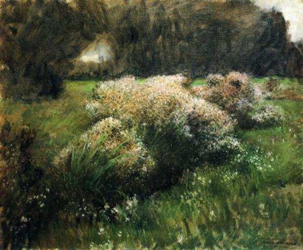 Wild Asters, Study by Dennis Miller Bunker
