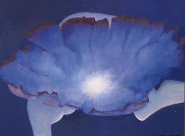 Dorothea Tanning Nephaster Cyaneus (cloudstar)