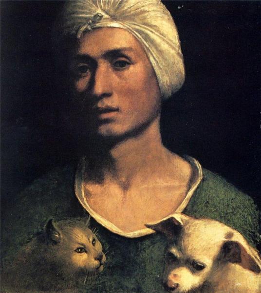 Portrait Of A Young Man With A Dog And A Cat by Dosso Dossi