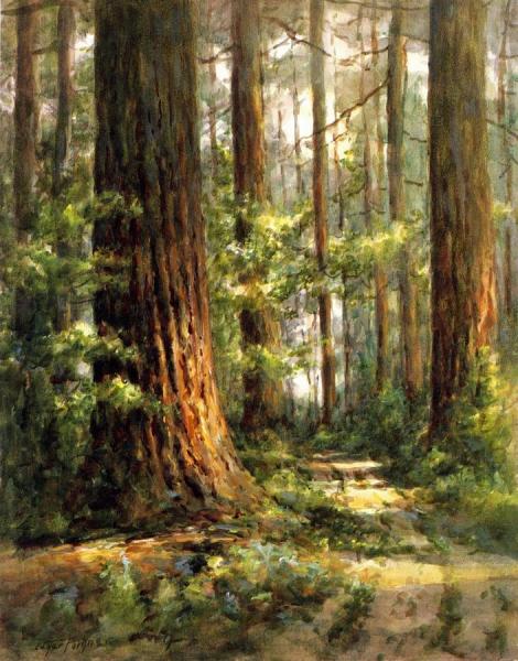 Pines by Edgar Forkner