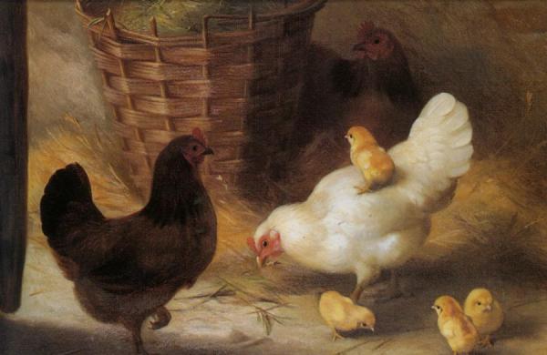 A Better View by Edgar Hunt