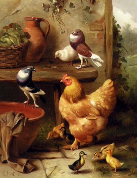 A Chicken, Doves, Pigeons And Ducklings by Edgar Hunt